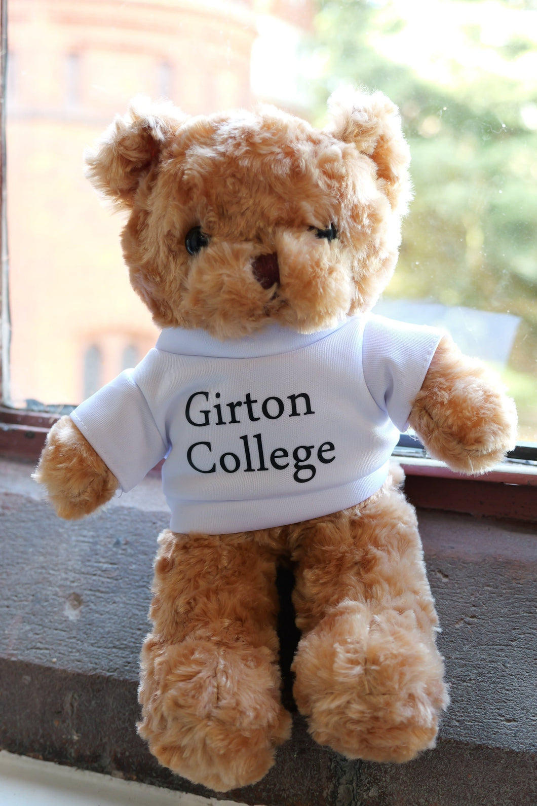 Girton Soft Toy - Teddy Bear